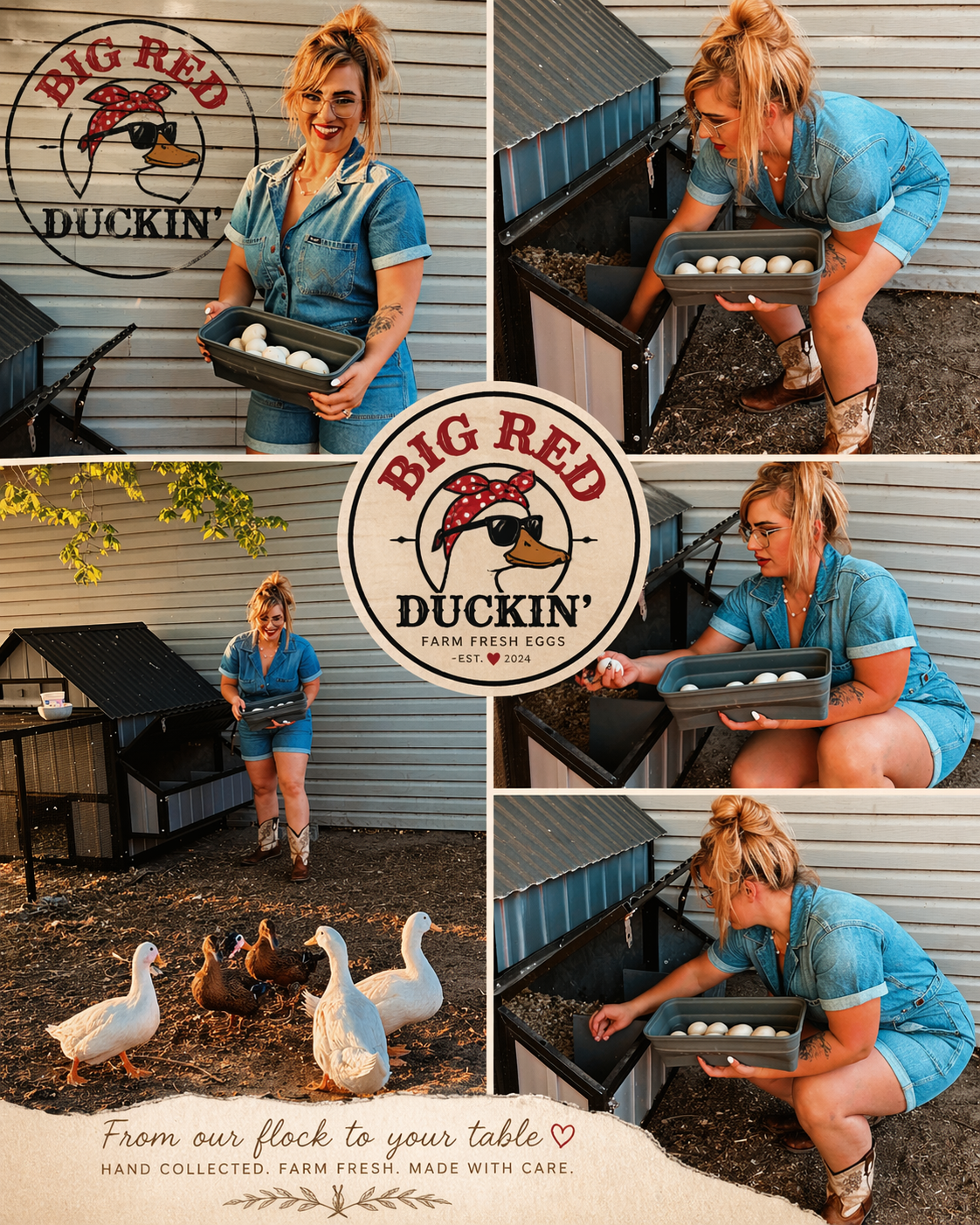Big Red Duckin' — gathering fresh duck eggs on the homestead